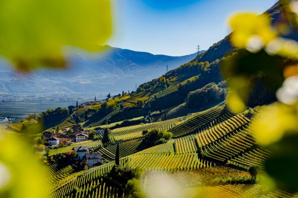 Blick nach Rungg im Herbst